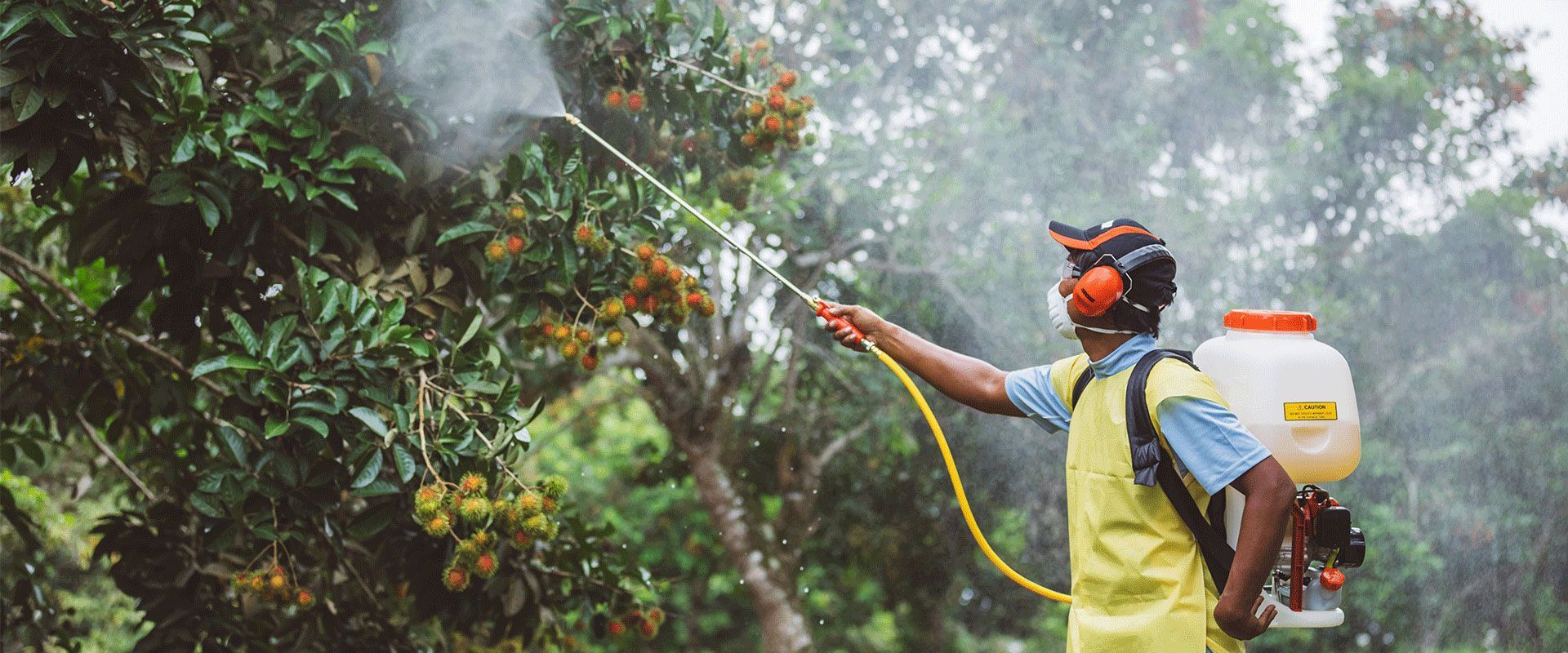 Power Sprayers