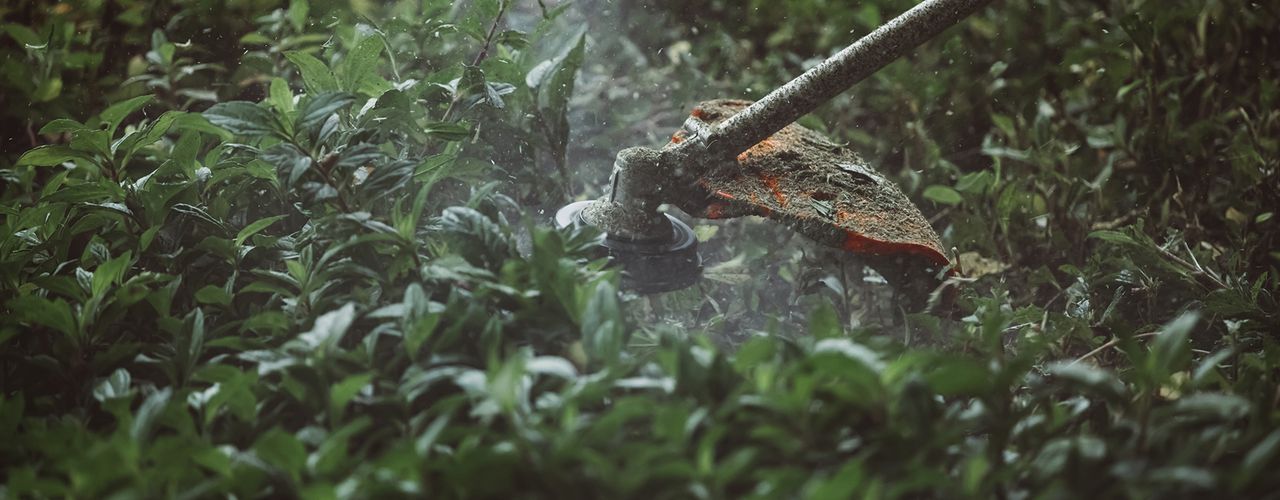 Brushcutter