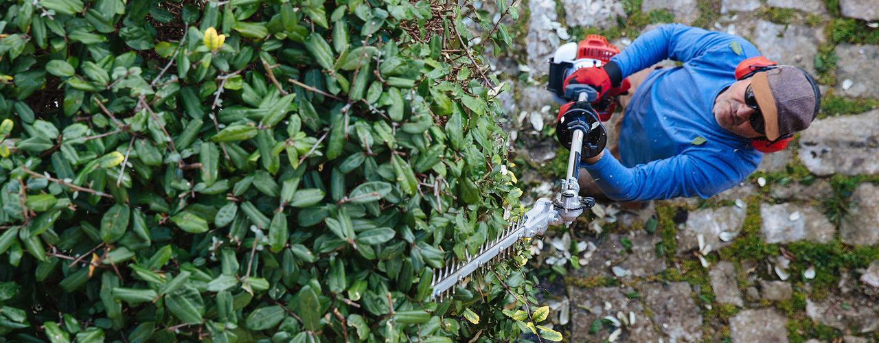 Shafted Hedge Trimmer