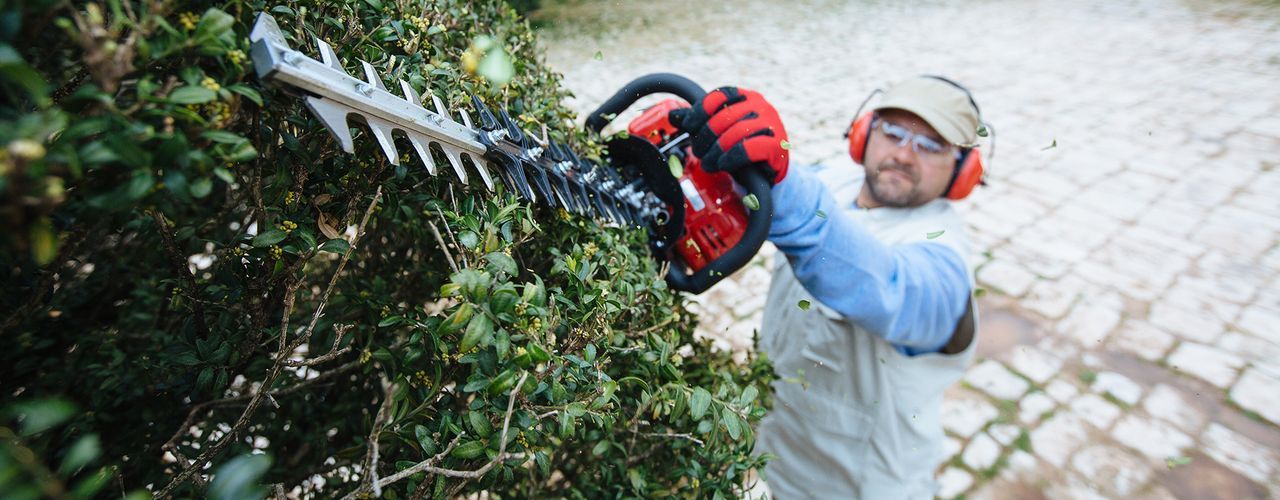 Hedge Trimmers