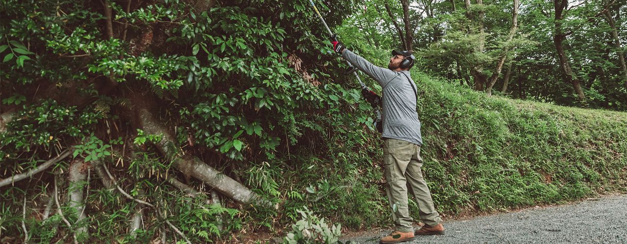 Pole Pruner