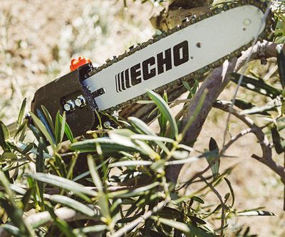 Power Pruners Power Pruners