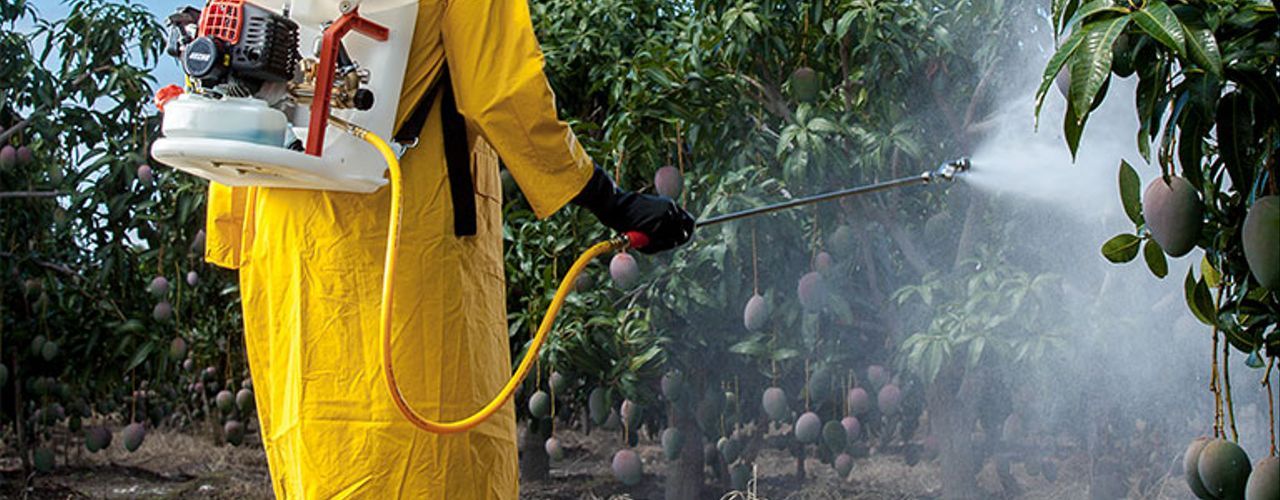 Power Sprayers
