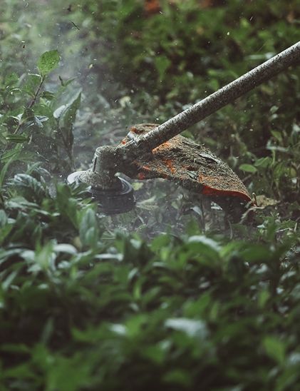 Brushcutter