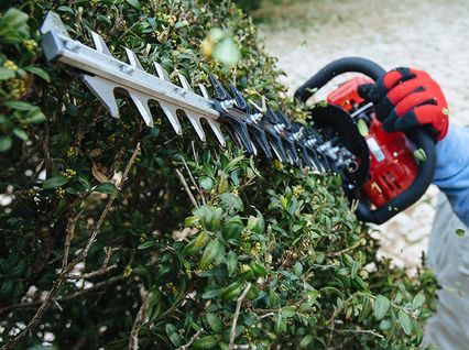 Hedge Trimmers Hedge Trimmers