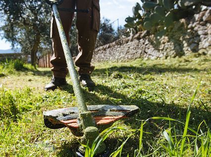 Trimmers & Brushcutters Trimmers & Brushcutters