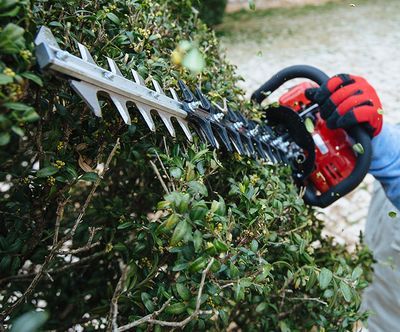 Hedge Trimmers Hedge Trimmers