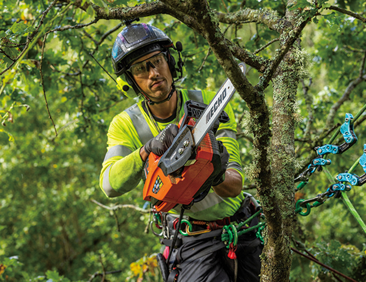 High Torque Brushless Motor High Torque Brushless Motor