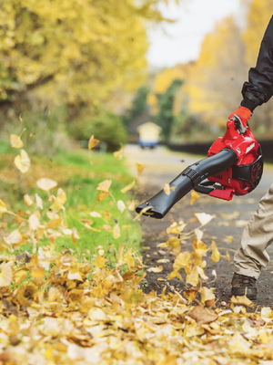 Handheld Blowers